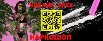 крисы Волжск