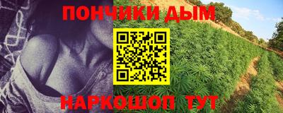 крисы Волжск