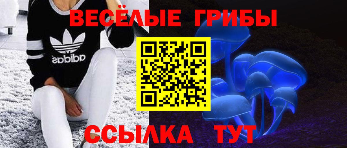 Псилоцибиновые грибы мухоморы  Галлюциногенные грибы Psilocybe  дарнет шоп  Электросталь  Вход с VPN 